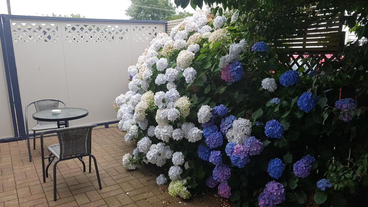 Palm Court Motel Otorohanga Zewnętrze zdjęcie