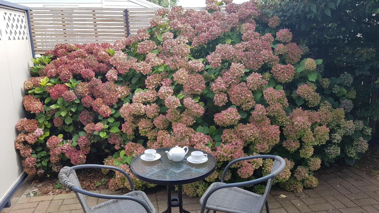 Palm Court Motel Otorohanga Zewnętrze zdjęcie